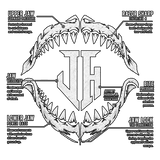 HUDSON JR BOXING Lockjaw Collector Pack - First Edition